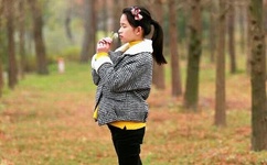 大尺寸的小黄说字多肉小学